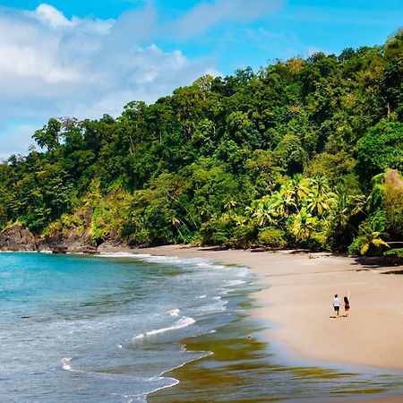 Corcovado Wilderness Lodge By Scp San Pedrillo Екстериор снимка