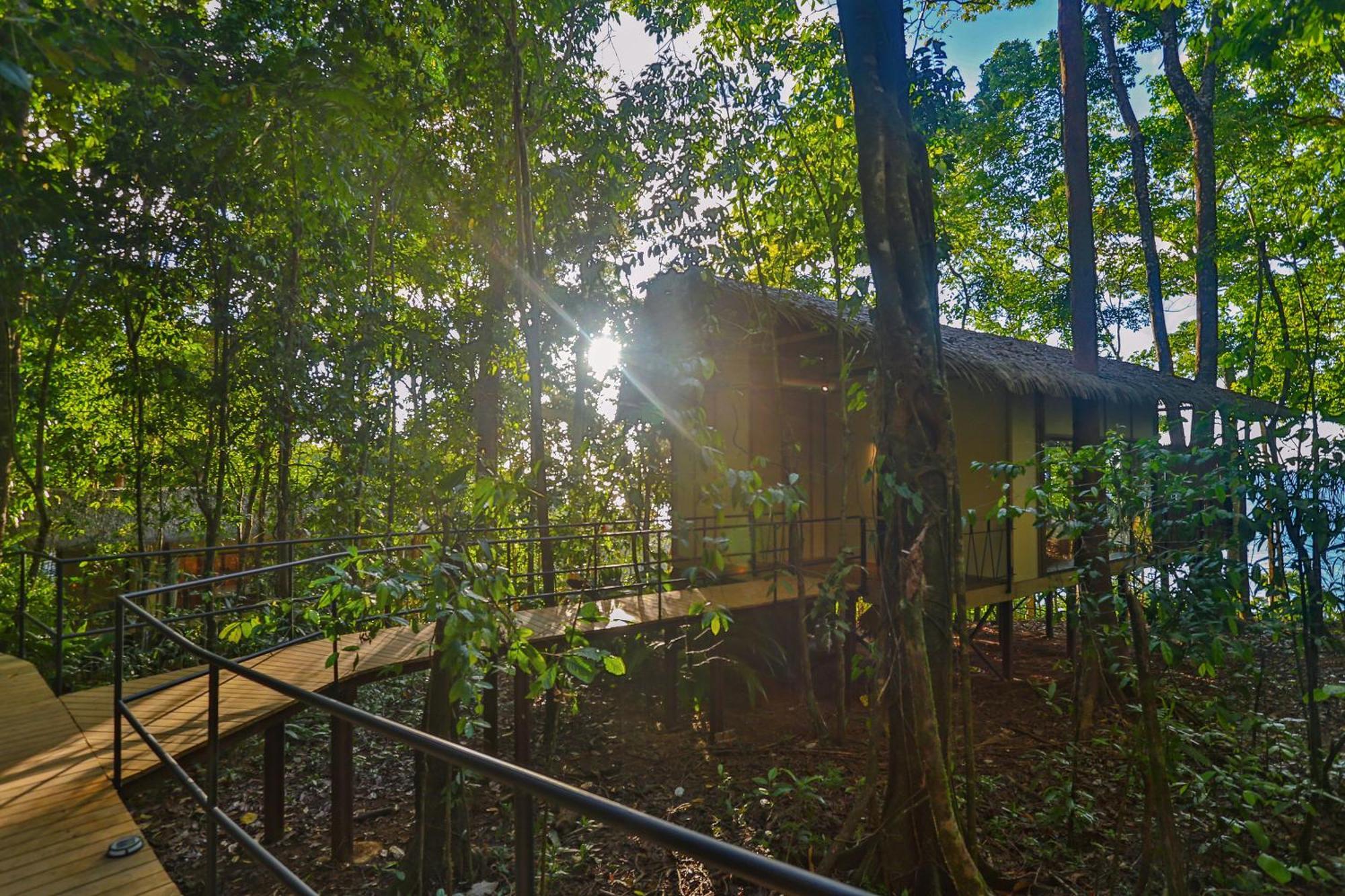 Corcovado Wilderness Lodge By Scp San Pedrillo Екстериор снимка