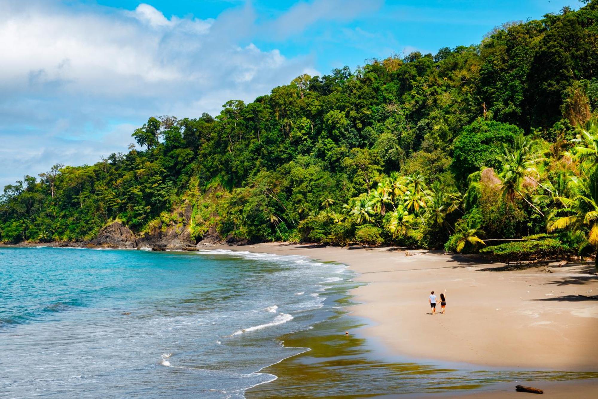 Corcovado Wilderness Lodge By Scp San Pedrillo Екстериор снимка