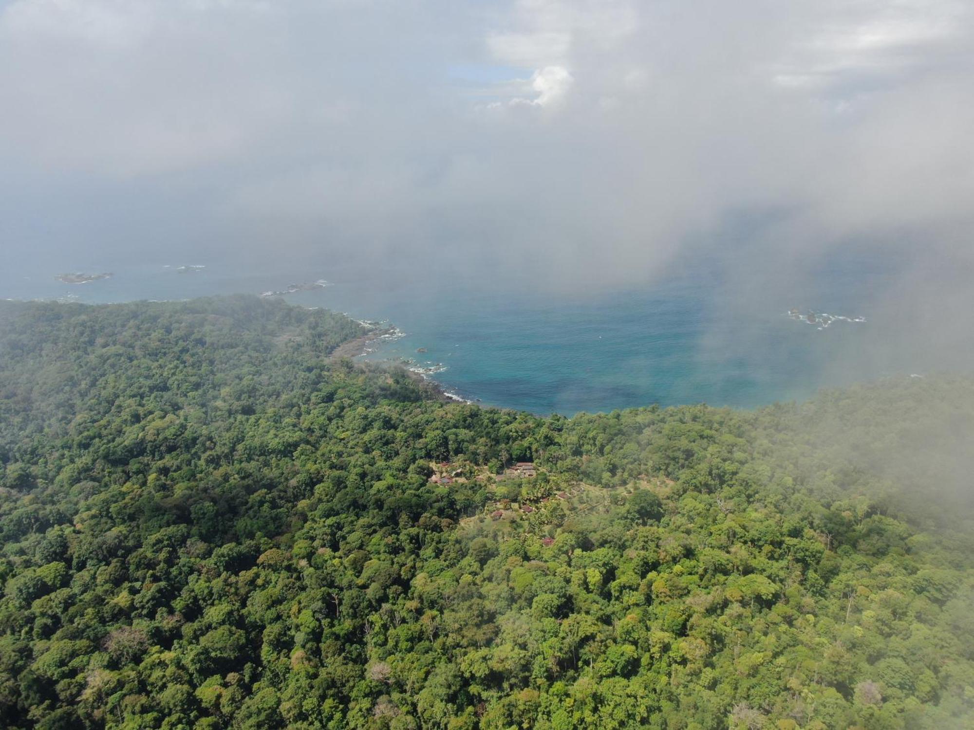 Corcovado Wilderness Lodge By Scp San Pedrillo Екстериор снимка