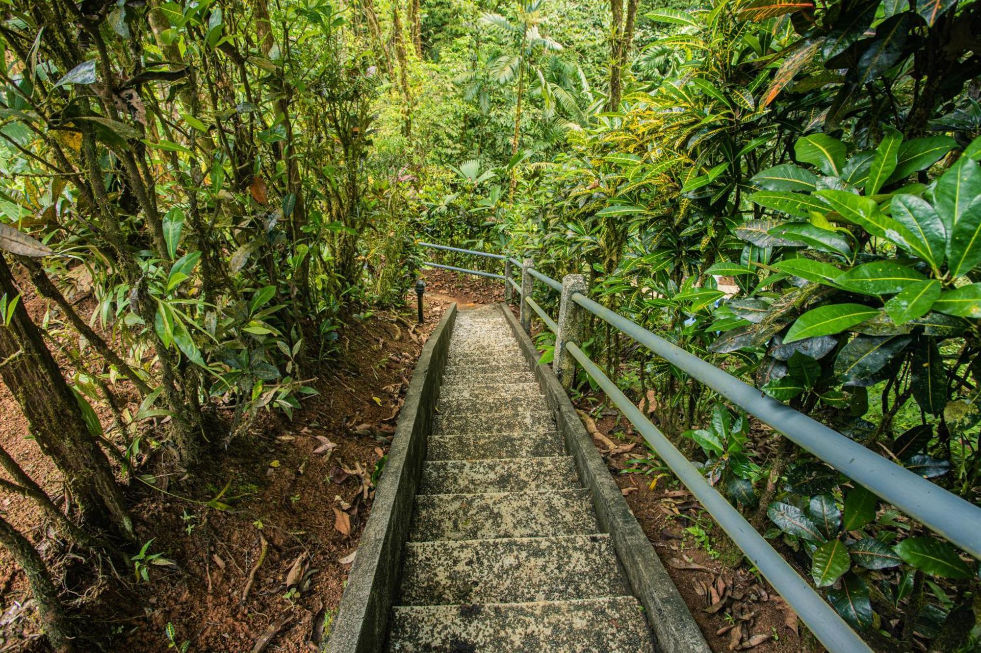 Corcovado Wilderness Lodge By Scp San Pedrillo Екстериор снимка